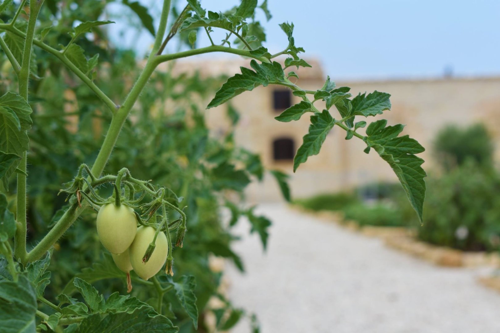 Alcamo, 09