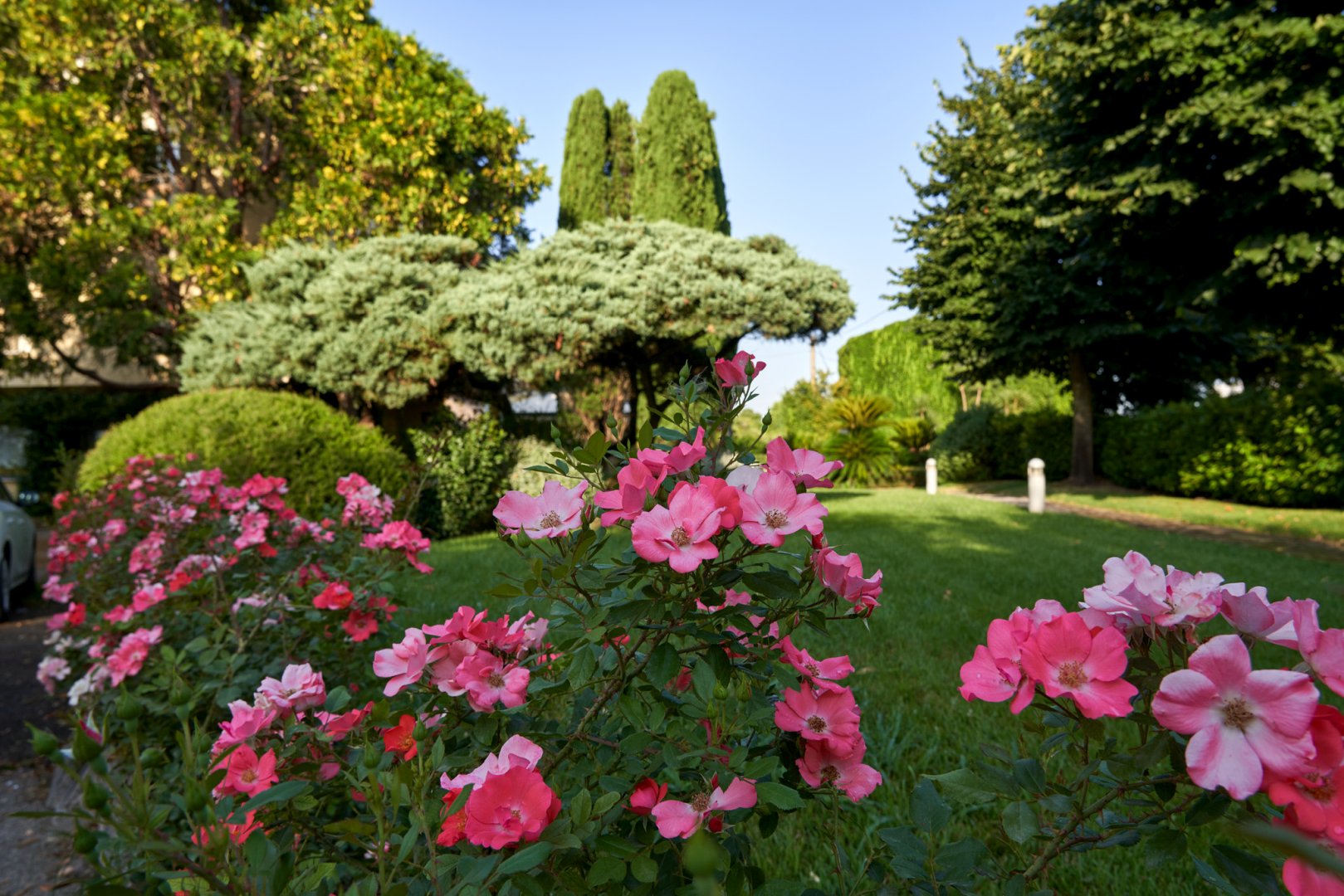 Benevento, 16