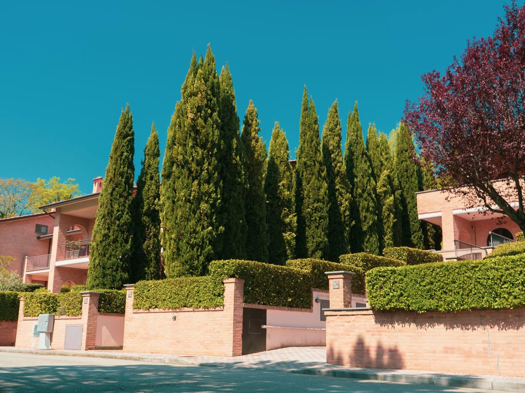 Assisi, 01