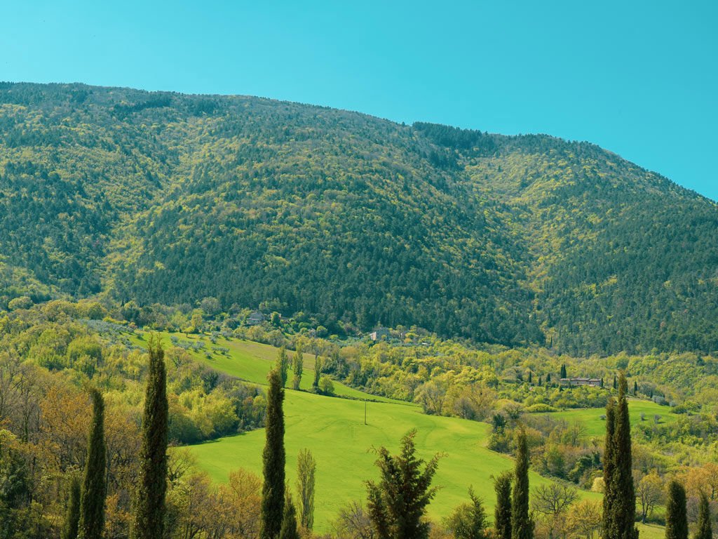 Assisi, 13