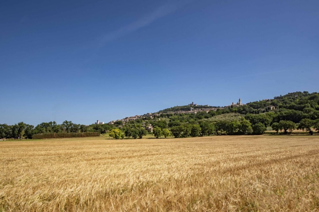 Assisi, 04