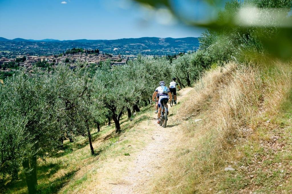 Assisi, 08
