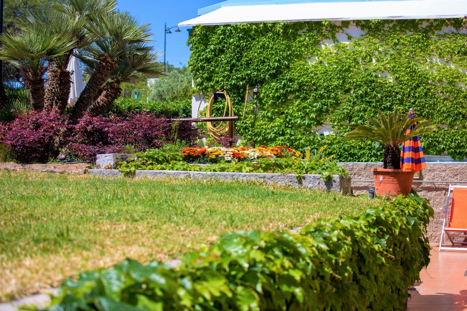 Barano d'Ischia - Maronti, 26