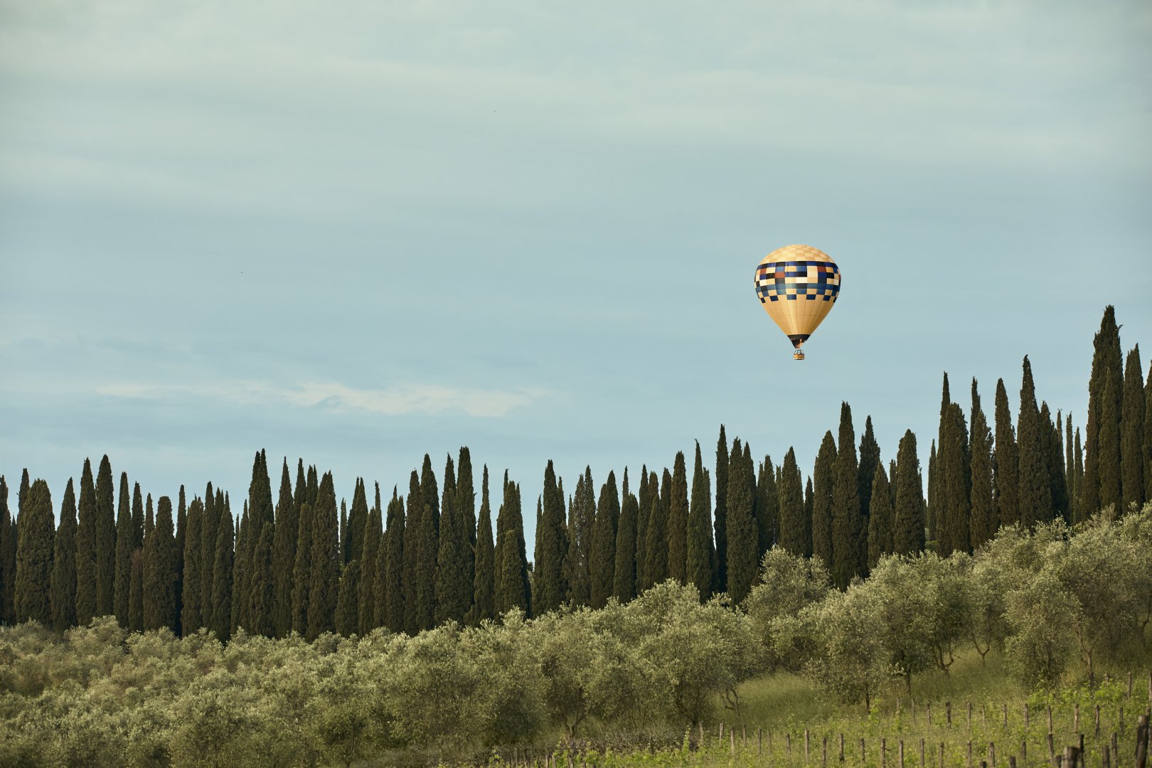 Barberino Tavarnelle, 16