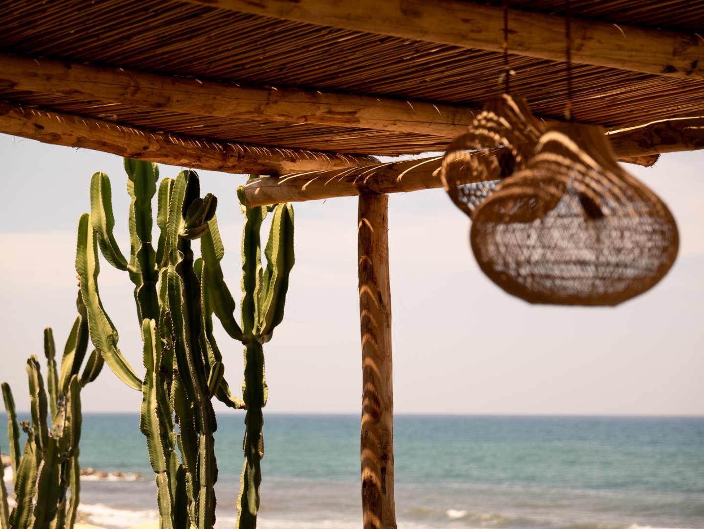 Ricadi, 29