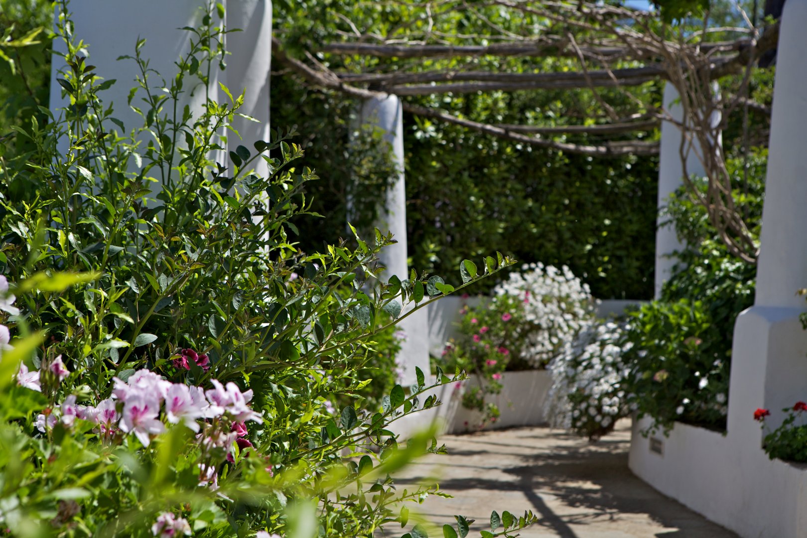 Anacapri, 05
