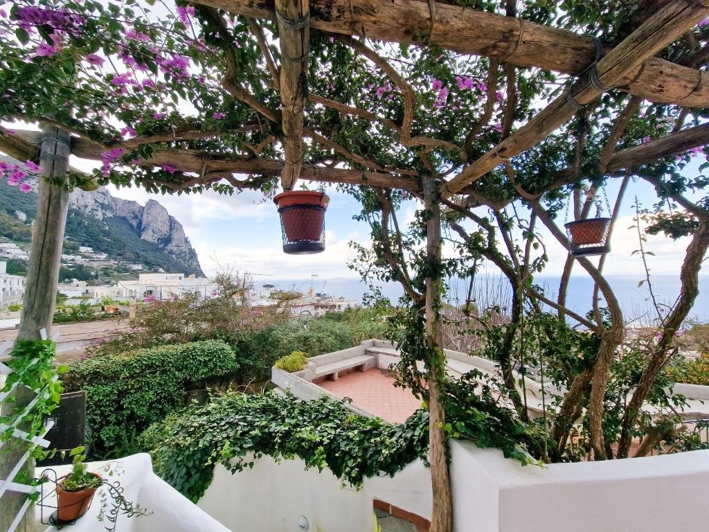 Capri, 16