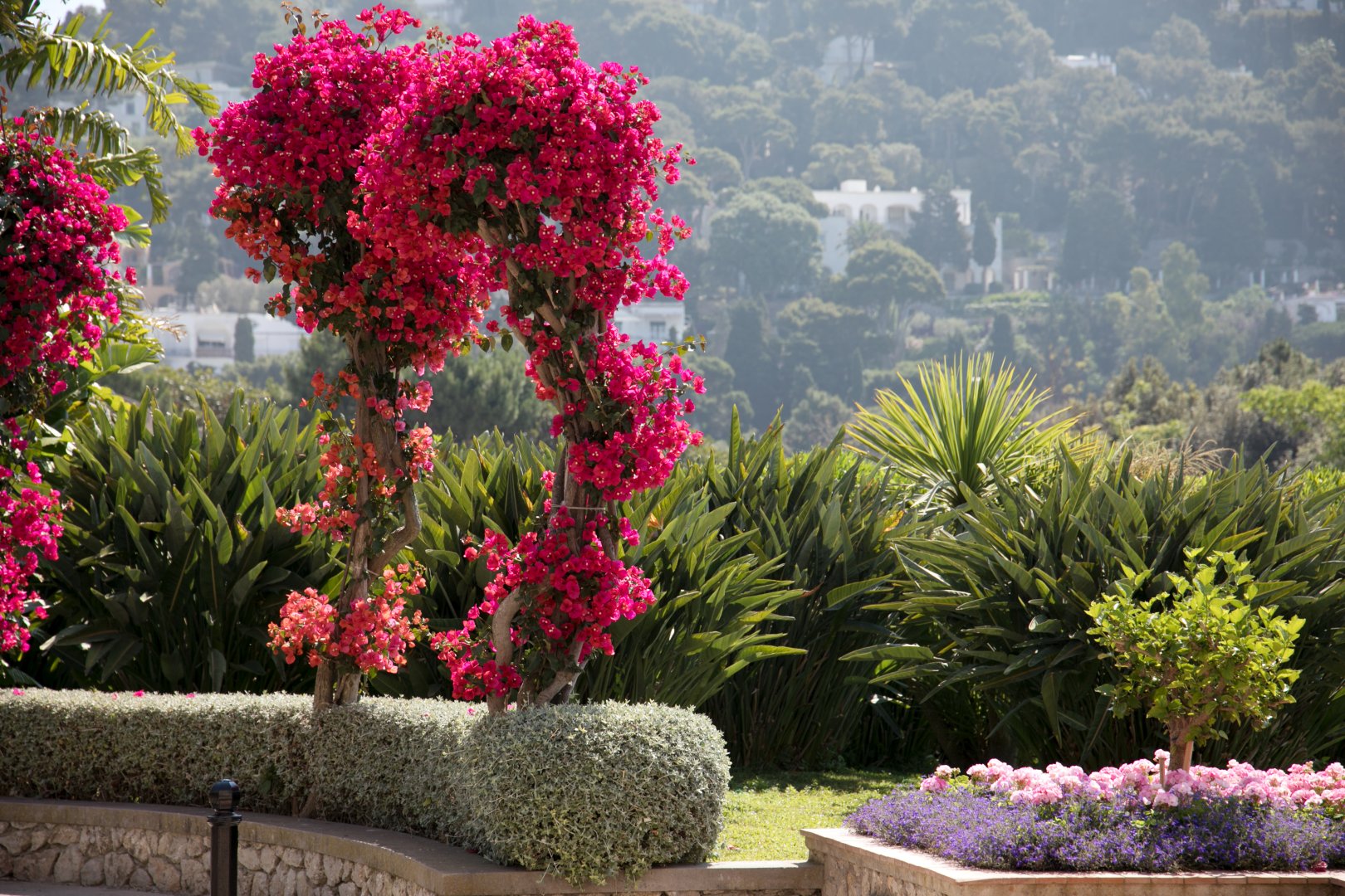 Capri, 08