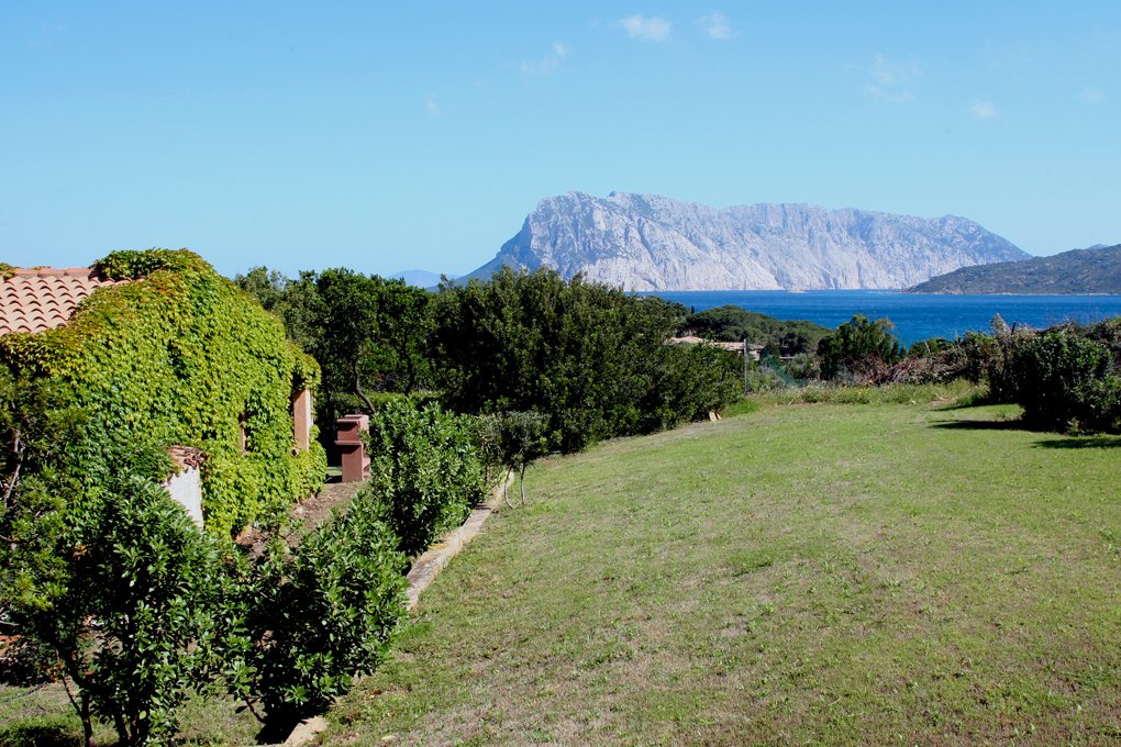 San Teodoro, 12