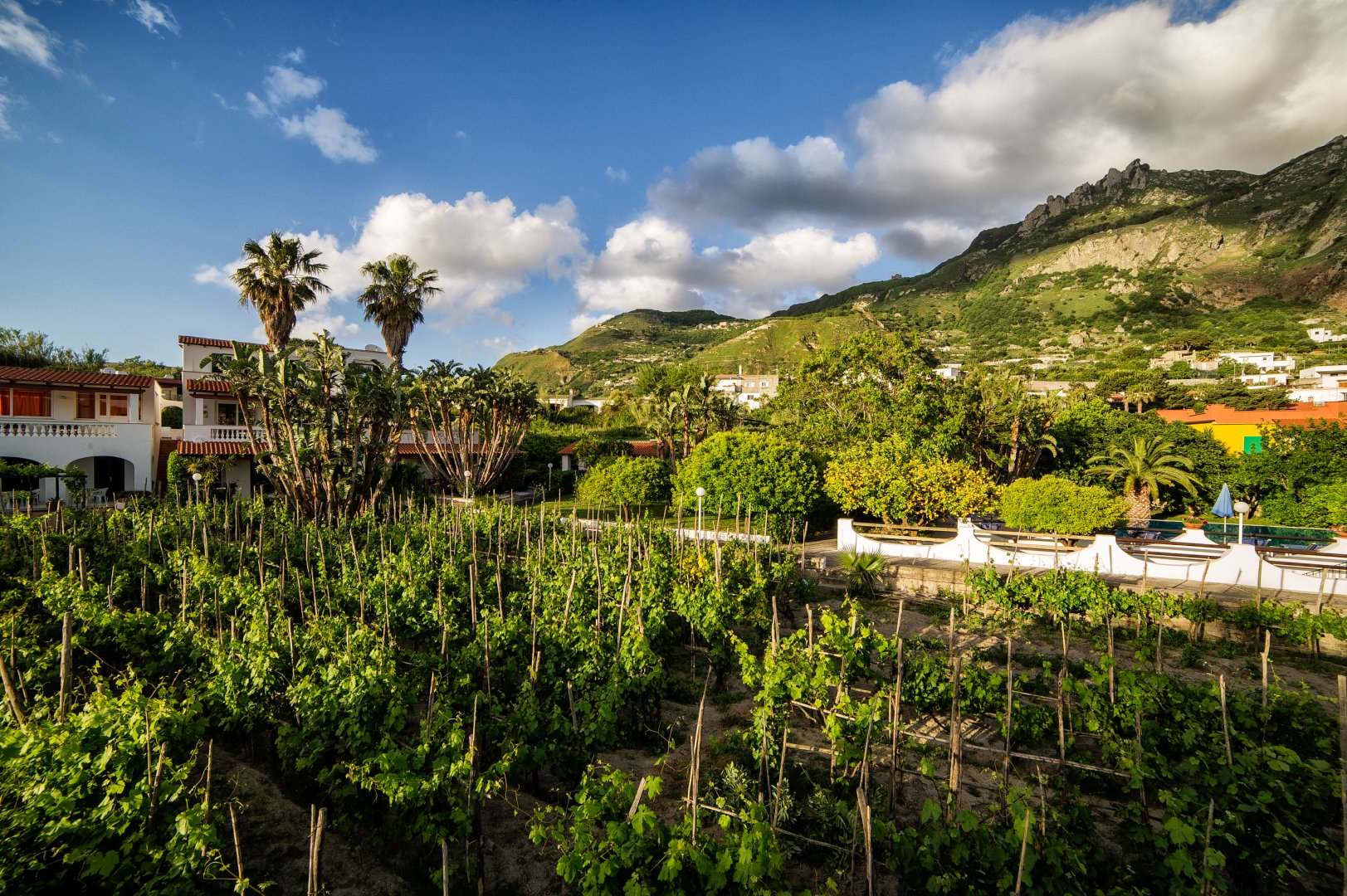 Forio d'Ischia, 01