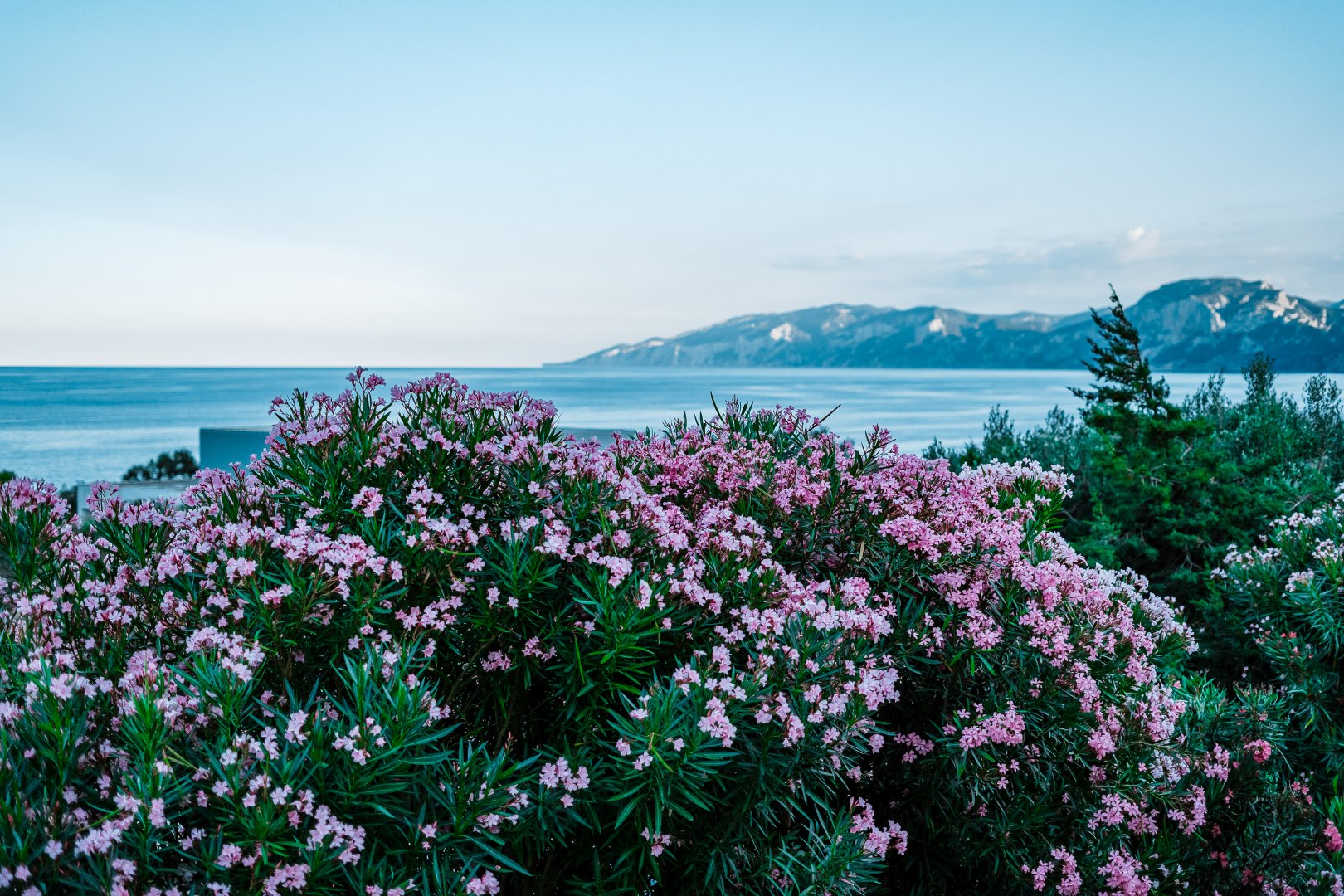 Cala Gonone, 21