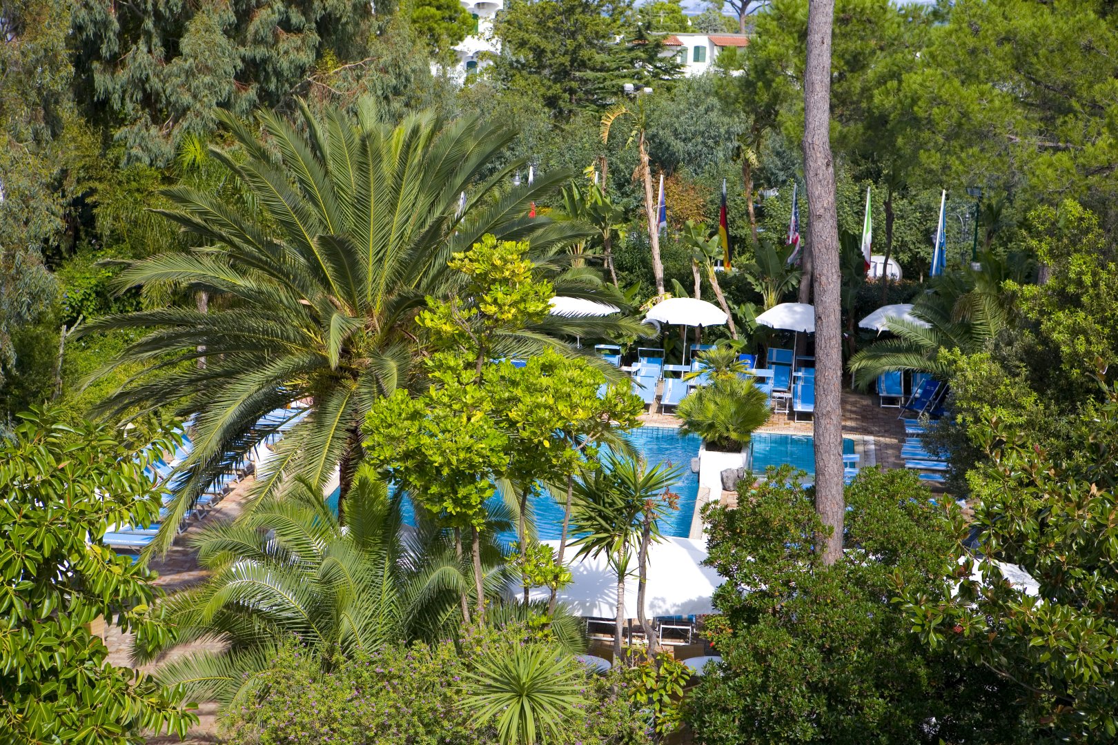Ischia Porto, 10