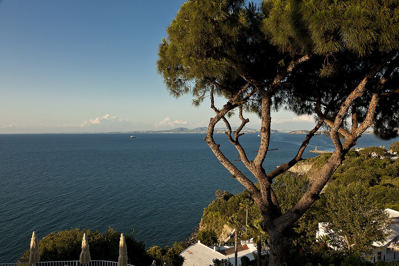 Ischia Porto, 25