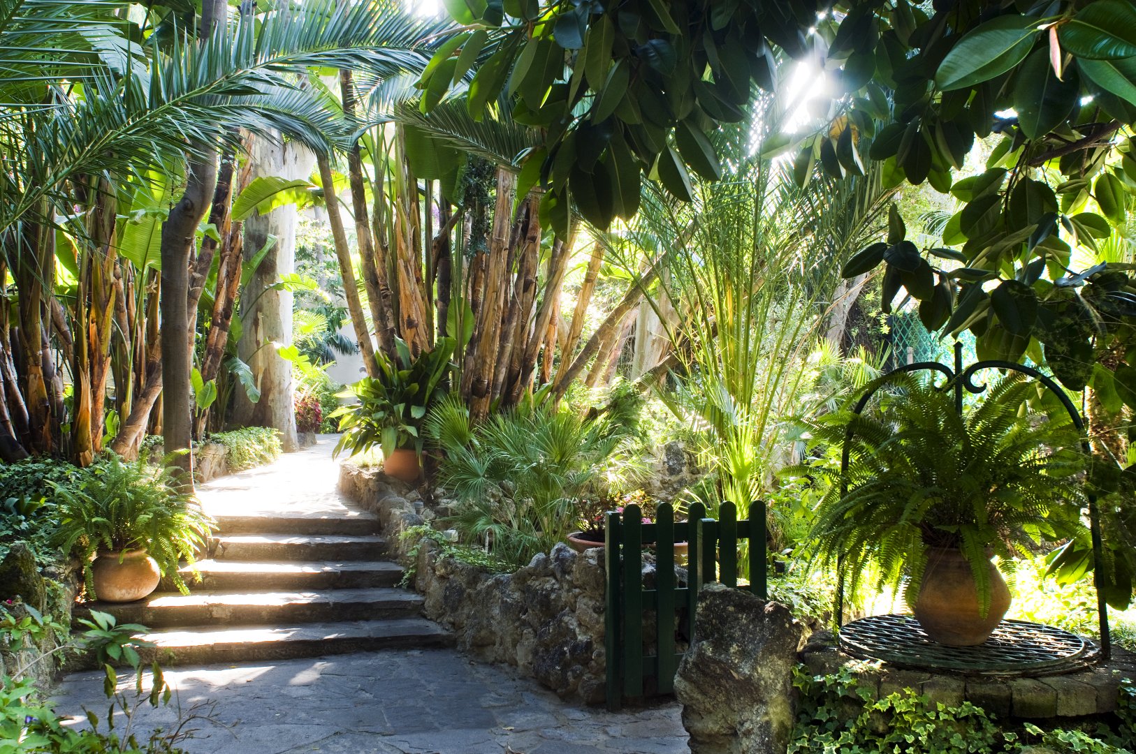 Ischia Porto, 04