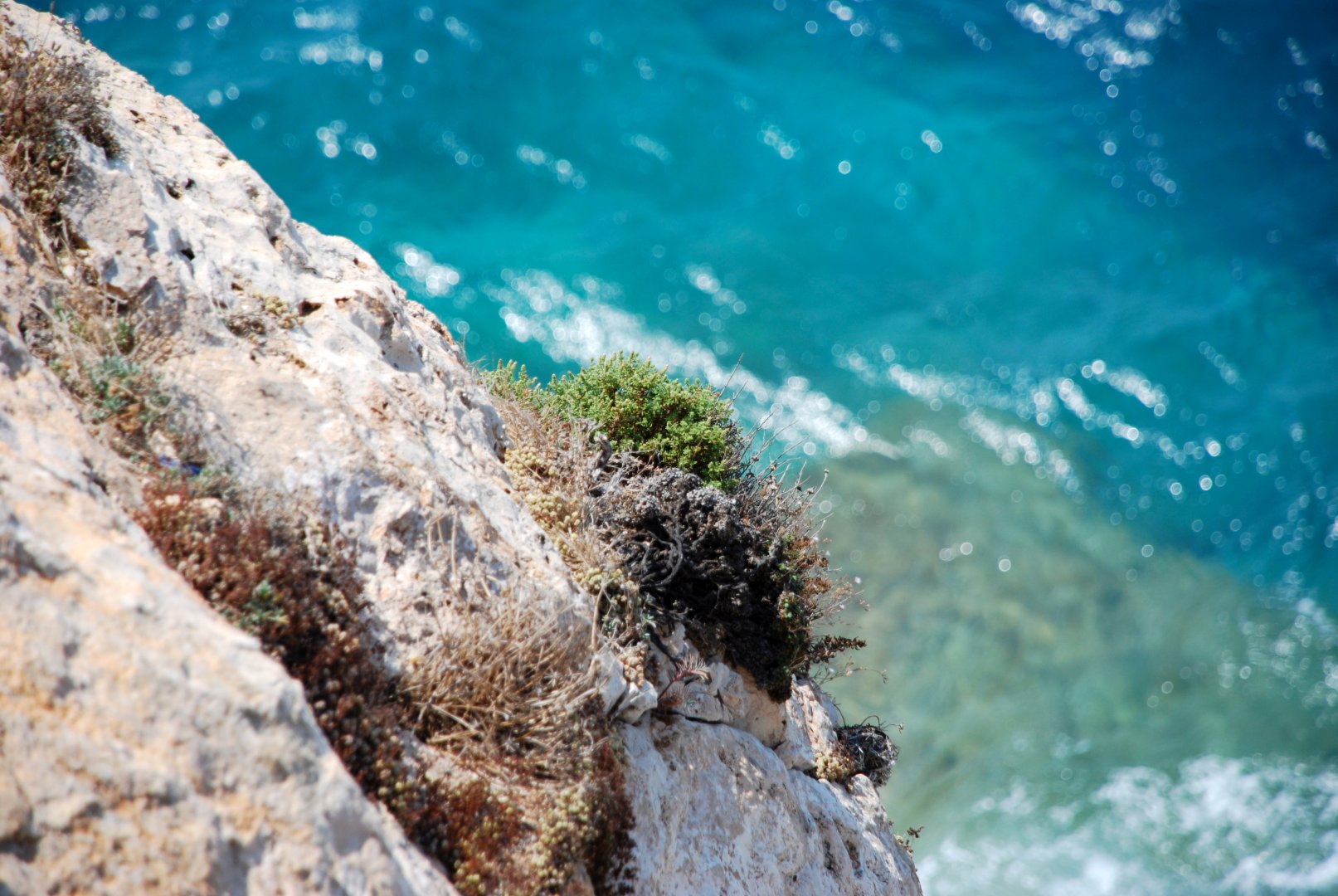 Isola di Lampedusa, 01