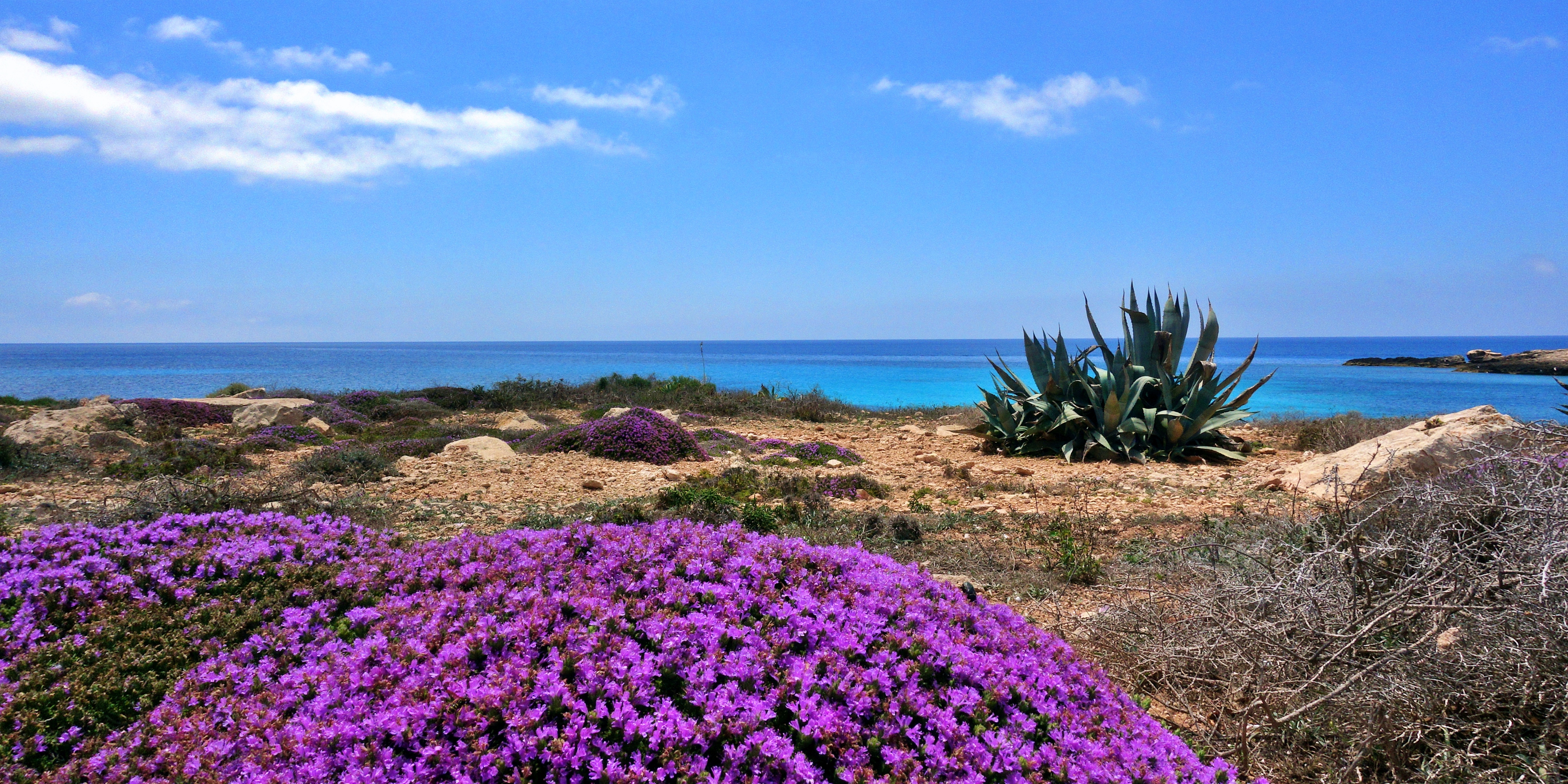 Isola di Lampedusa, 01