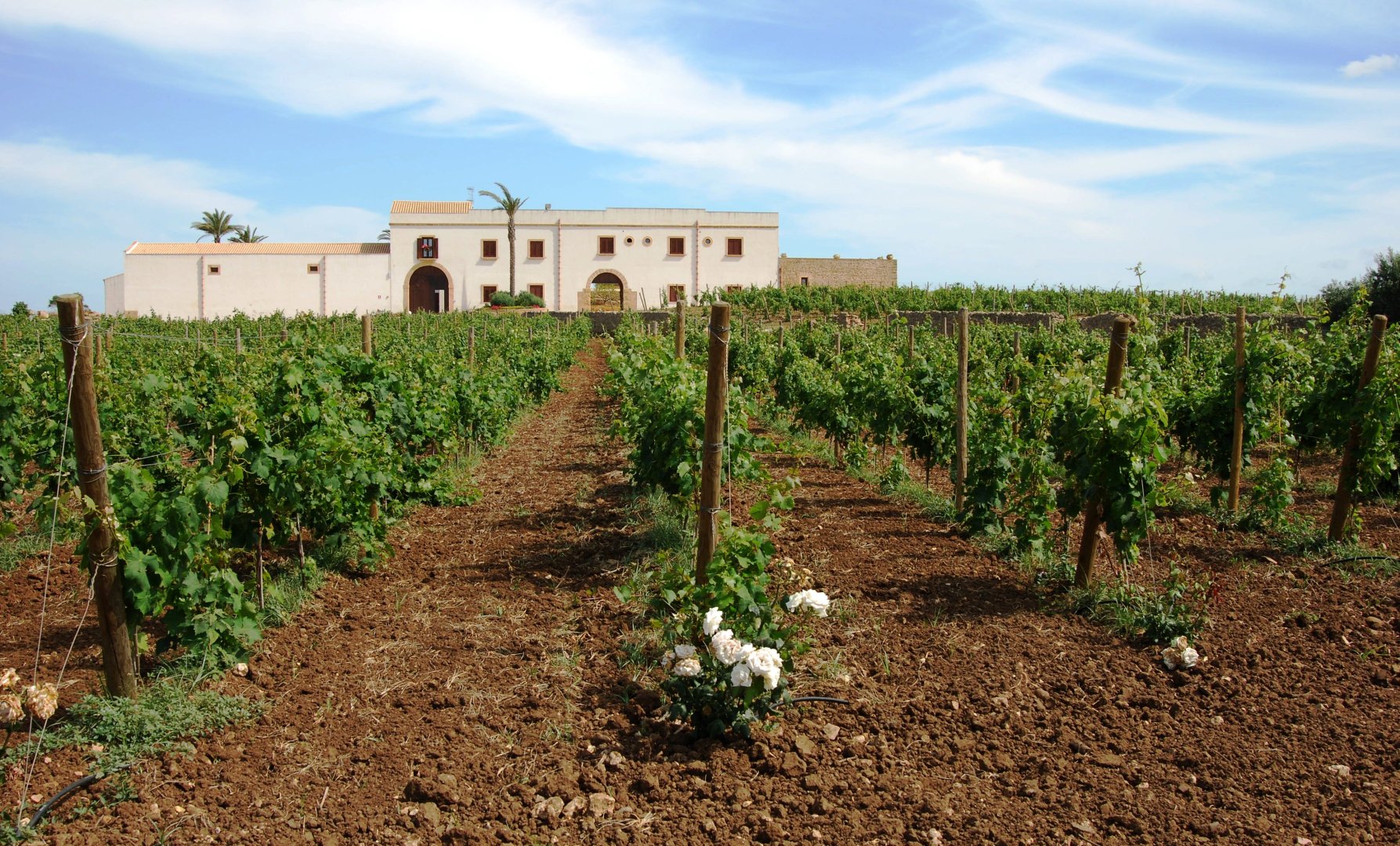 Marsala, 03