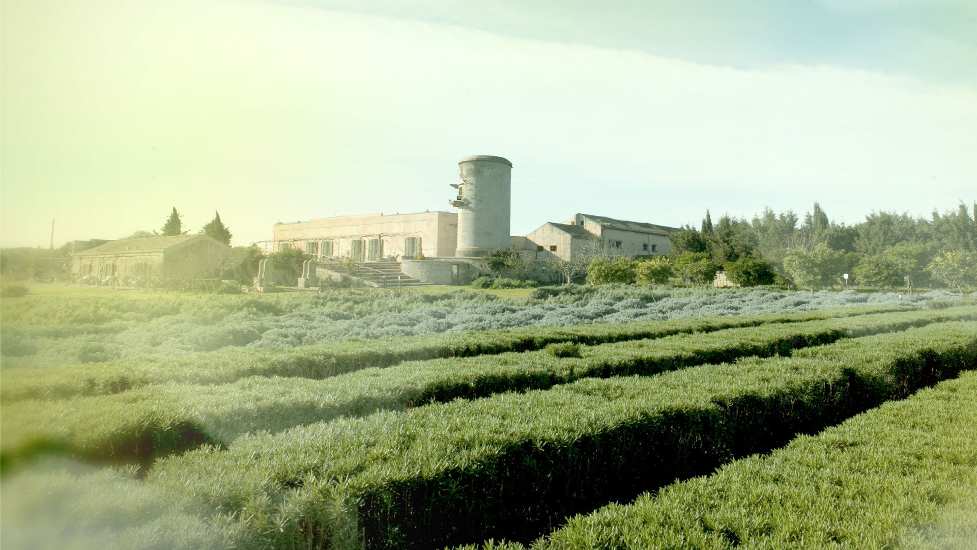 Martano, 04