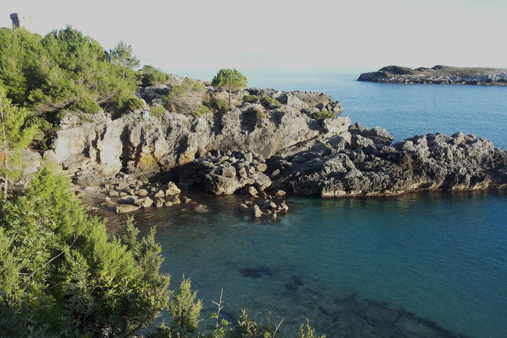 Camerota, 11
