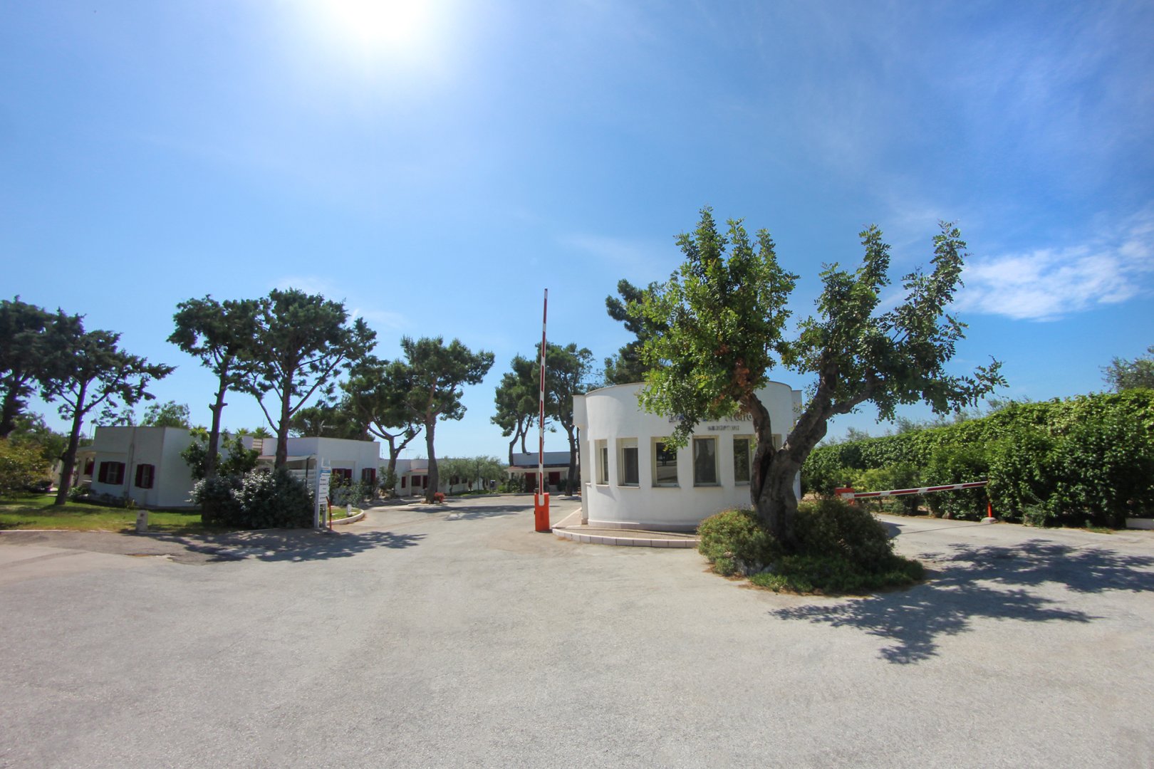 Mattinata, 02