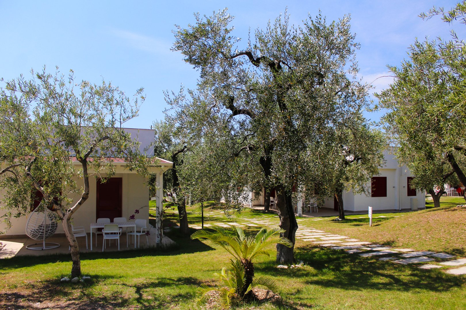 Mattinata, 07