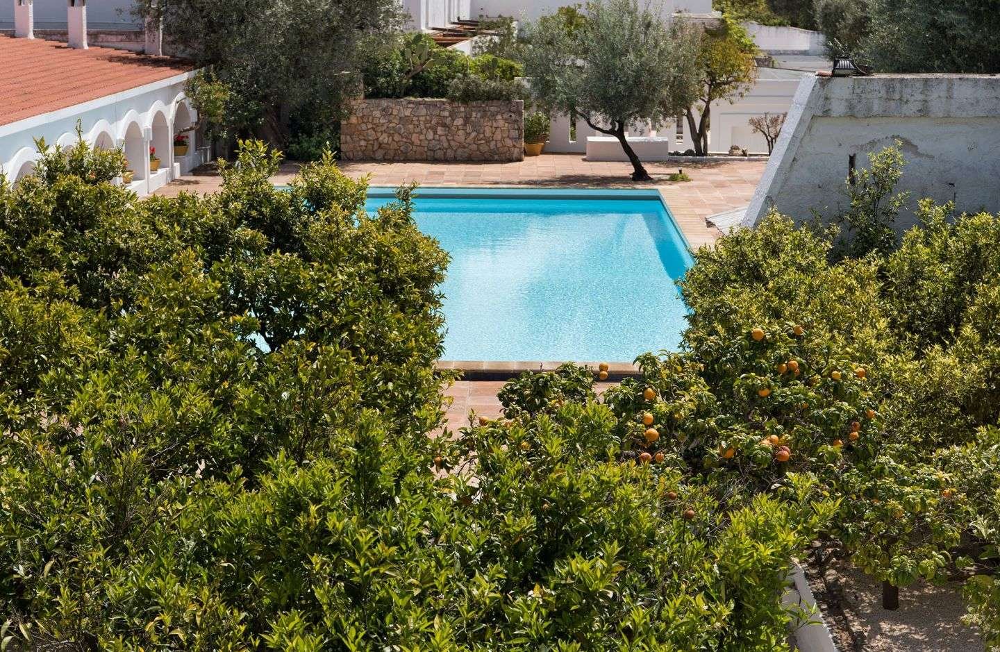 Monopoli, 06