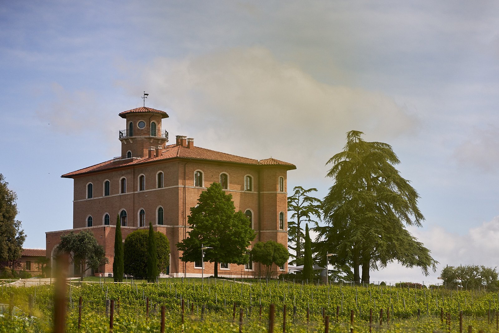 Montepulciano, 26