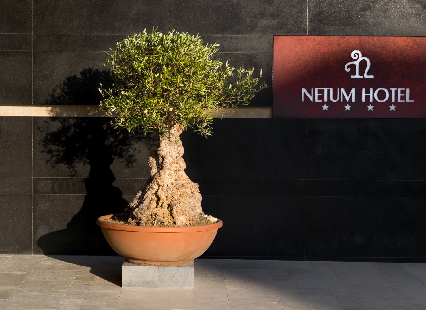 Noto, 02