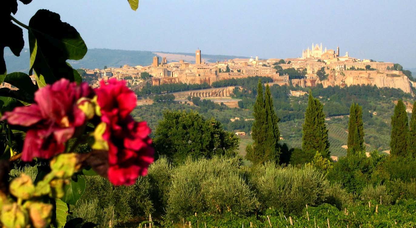 Orvieto, 01