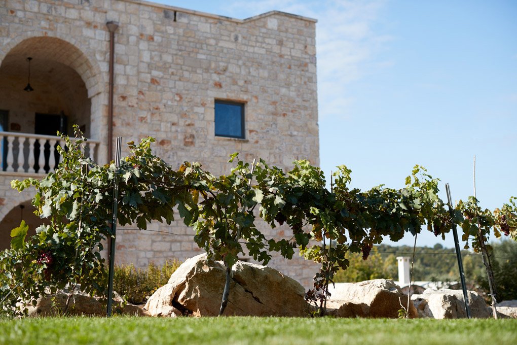 Ostuni, 04
