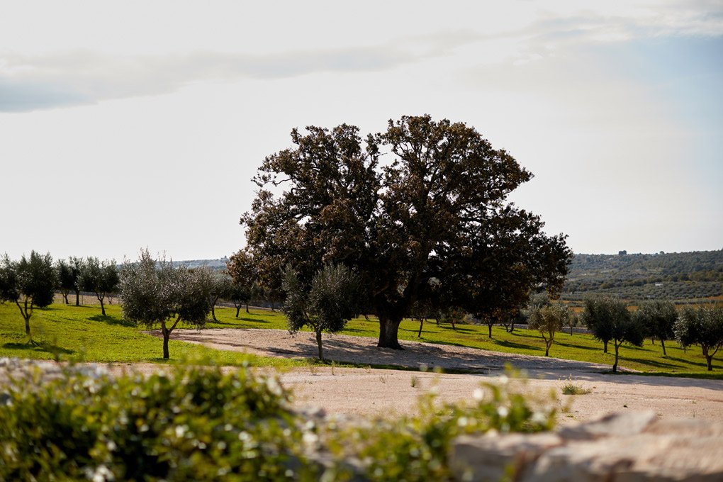 Ostuni, 07