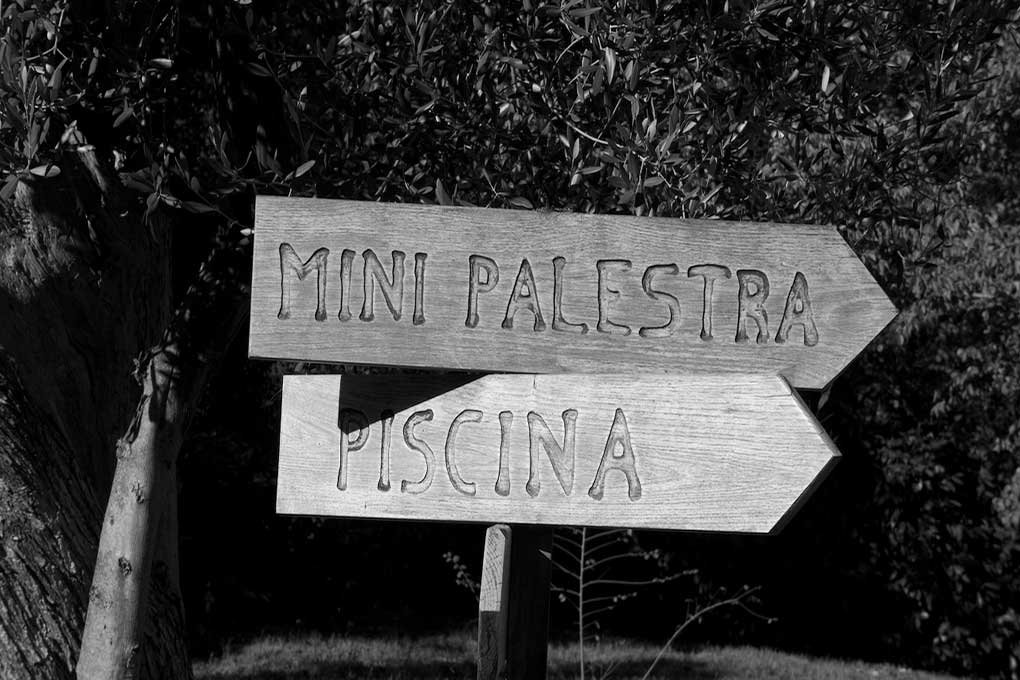 Centola, 08