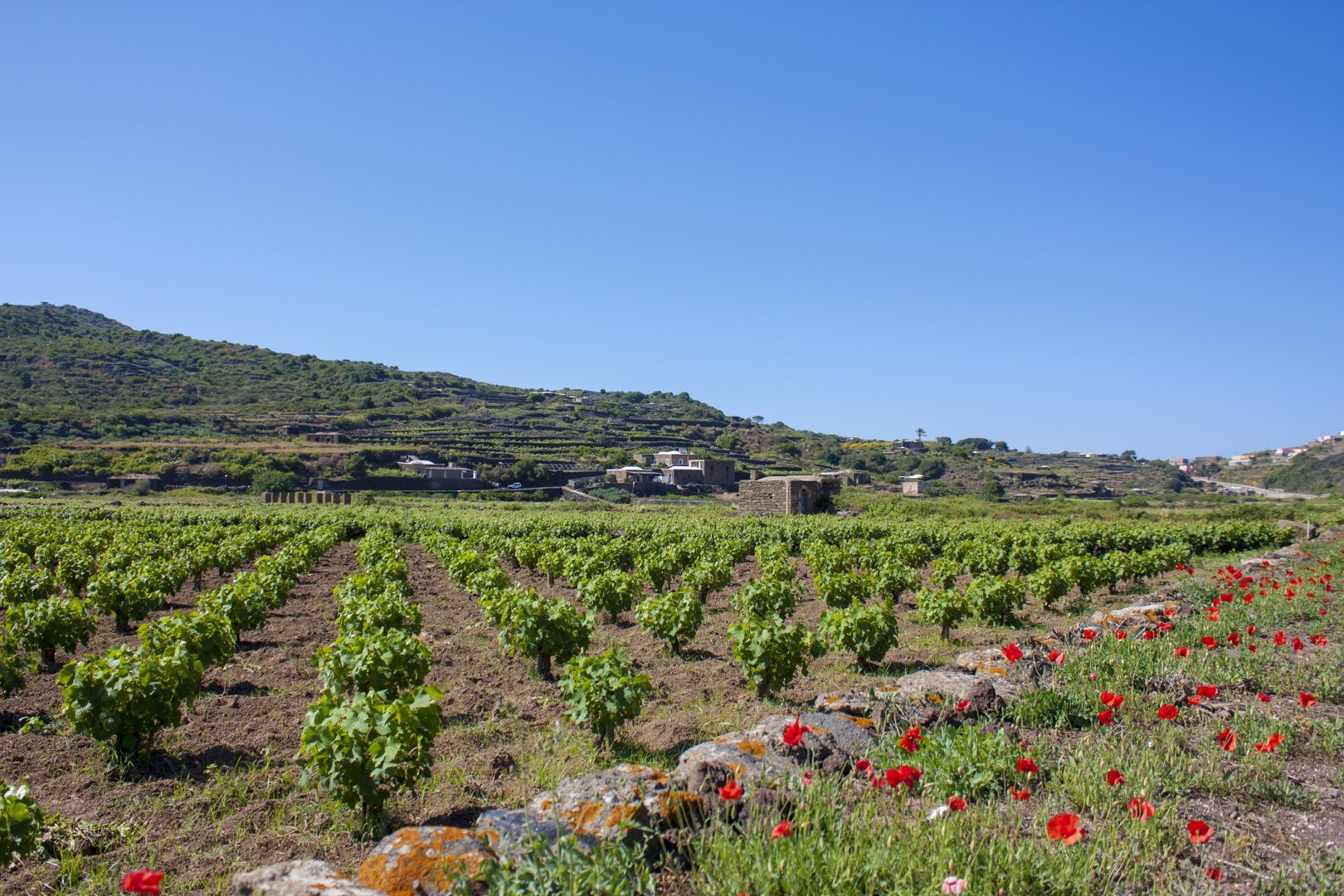 Isola di Pantelleria, 01