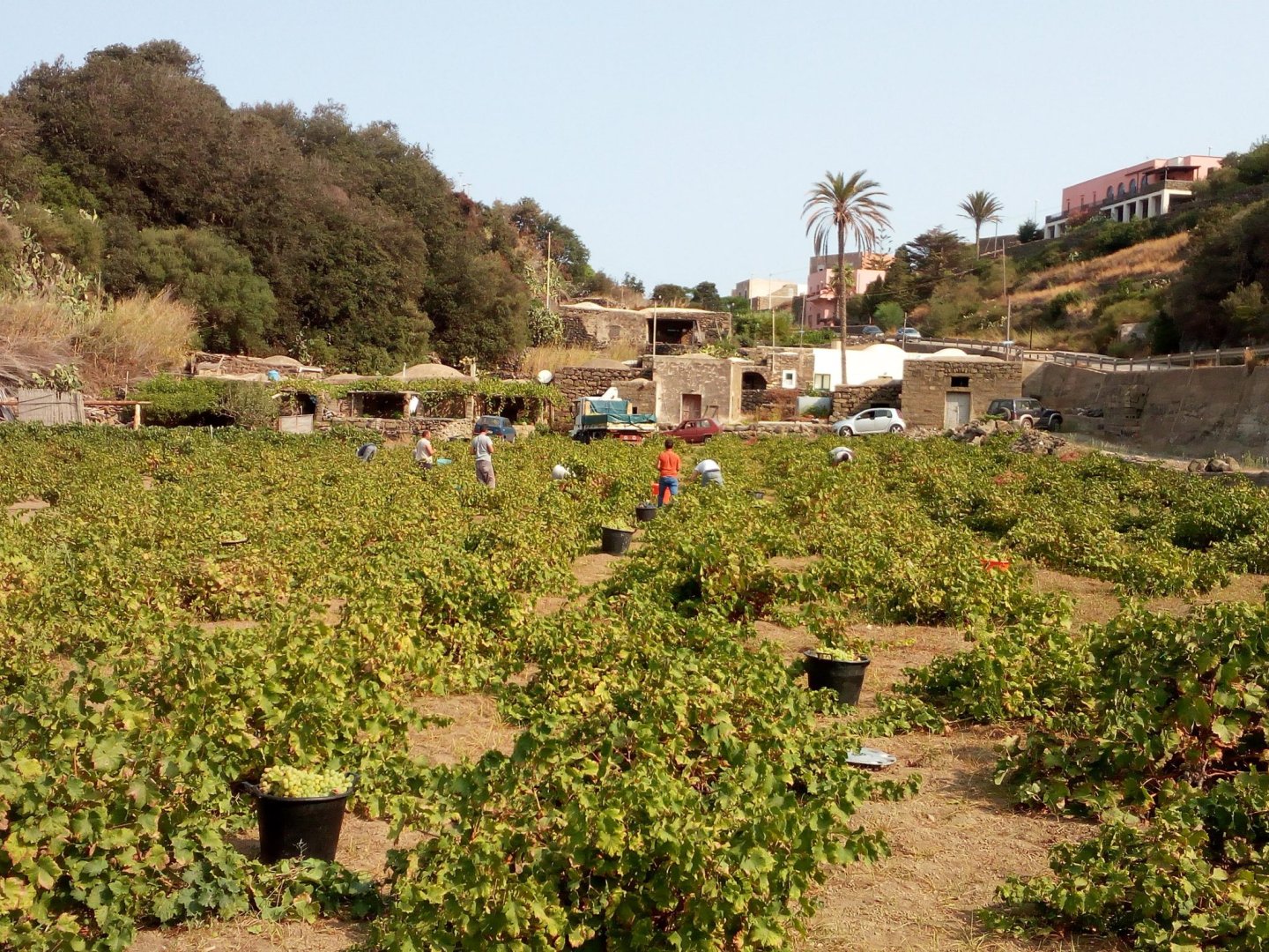 Isola di Pantelleria, 17