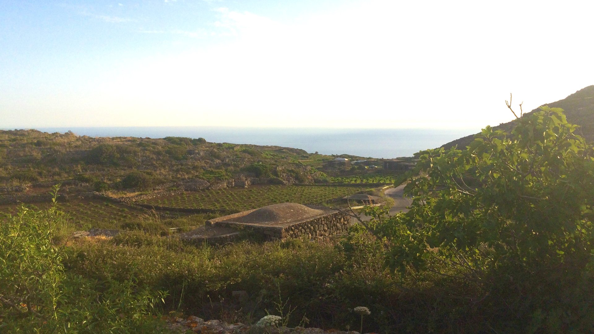 Isola di Pantelleria, 07