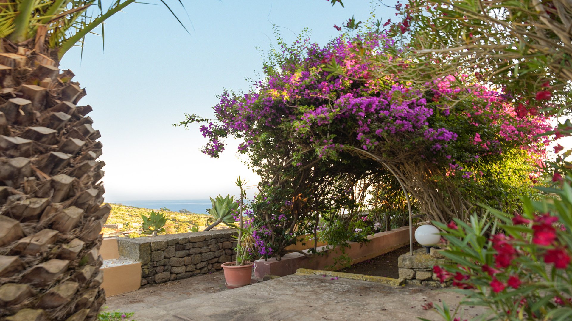Isola di Pantelleria, 14