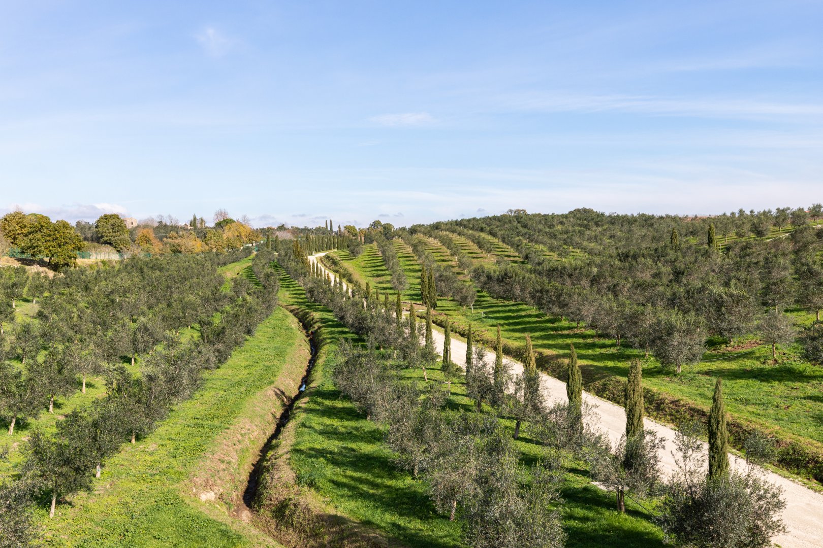 Farnese, 02