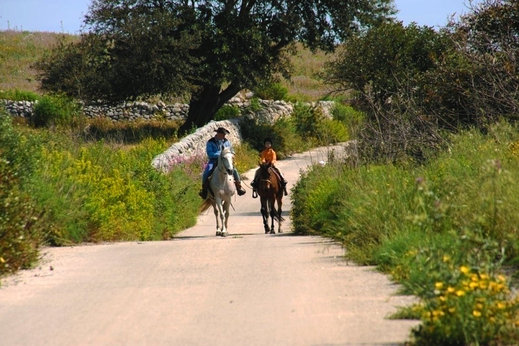 Ragusa, 09