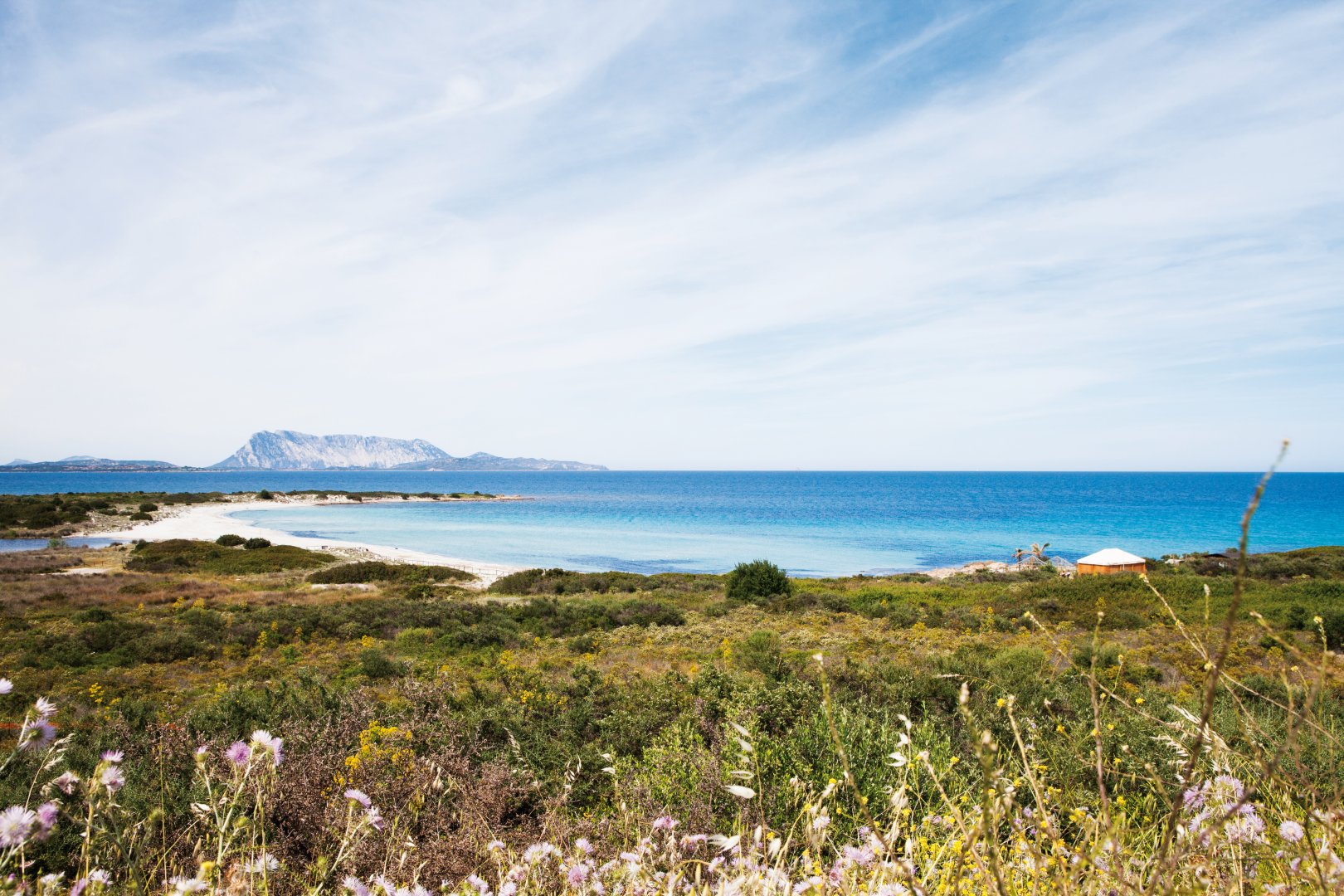 San Teodoro, 08